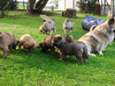 Bild 25