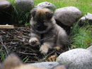 Bild 26