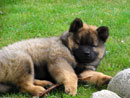 Bild 27