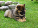 Bild 29