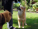 Bild 24