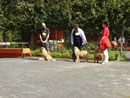 Bild 17