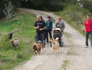 Bild 29