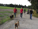 Bild 31
