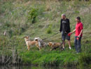 Bild 32