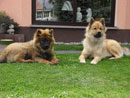 Bild 44