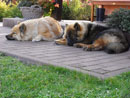 Bild 62
