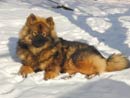 Bild 69