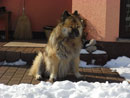 Bild 82