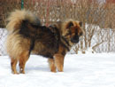 Bild 84