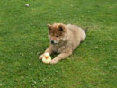 Bild 13