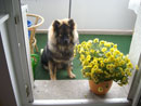 Bild 25