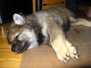 Bild 10