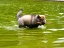 Bild 13