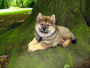 Bild 14