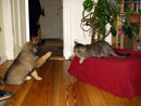 Bild 15