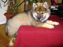 Bild 17