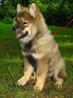 Bild 20