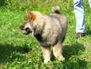 Bild 21
