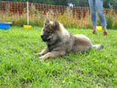 Bild 22