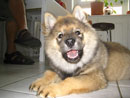 Bild 23