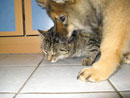 Bild 24