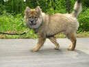 Bild 26