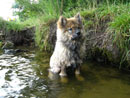 Bild 28