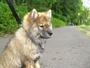 Bild 32
