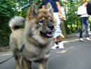 Bild 43