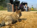 Bild 44