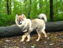 Bild 47