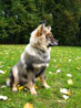 Bild 51