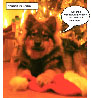 Bild 52