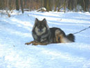 Bild 57