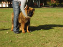 Bild 43