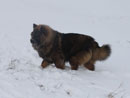 Bild 49