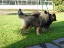 Bild 24