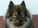 Bild 45