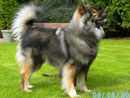 Bild 46